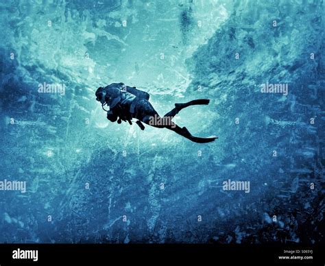young female scuba diver swimming  mid water stock photo royalty  image  alamy