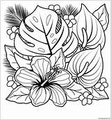 Pages Plants Tropical Hibiscus Flowers Coloring Color Flower Adults Kids Online Print sketch template