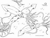 Squid Coloring Sustainable Fisheries sketch template