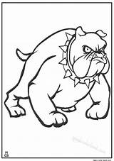 Coloring Pages Bull Dog Birthday Popular Bulldogs Coloringhome Comments sketch template
