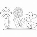Flowers Three Coloring Graphics Vector Book Svg sketch template