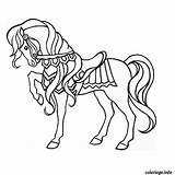 Coloriage Cheval Magique Dessin Imprimer Cavallo Colorier Poulain Caballos Pratique Ausmalbilder Jecolorie Stampare Acolore sketch template