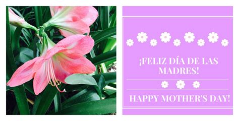 Free Mother S Day Cards In English And Spanish Hispana