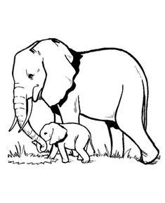 wild animal coloring page elephant family coloring page baby