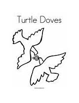 Turtle Doves Coloring Birds Worksheet Change Template Twistynoodle Style sketch template