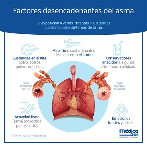 pin  neumologia