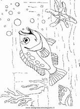 Pesce Pesci Animali Fische Verschiedene sketch template