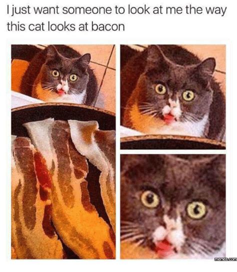 🔥 25 Best Memes About Bacon Meme Bacon Memes