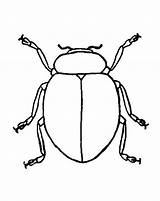 Ladybug Tocolor Clipartmag sketch template