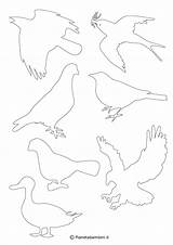 Uccelli Sagome Colorare Ritagliare Pianetabambini sketch template