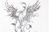 Tattoo Firebird Friend Request Close Deviantart sketch template