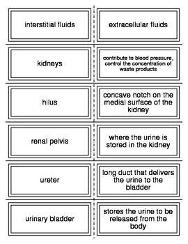 medical terminology flash cards drugcrimson