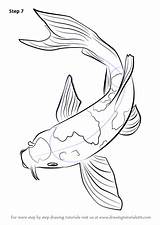 Koi Draw Drawingtutorials101 sketch template