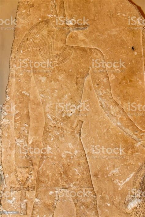 ancient egyptian god anubis depicted with the head of a jackal anubis