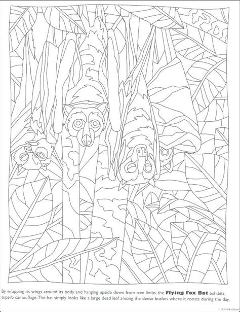 animals camouflage coloring pages animal