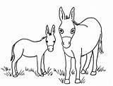 Donkey Coloring Pages Baby Printable Drawing Head Color Print Template Printables Ollie Getdrawings Getcolorings Sketch sketch template