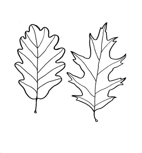 leaf template     sample templates
