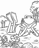 Kermit Lying Mitraland sketch template