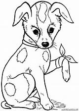 Hunde Ausmalbilder Von Zum Ausmalen Ausdrucken Bilder Und Dekoking Kostenlose Malvorlagen Mädchen Kinder Coloring Dog Vorlagen Gemerkt Schöne sketch template