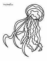Jellyfish Medusa Swimming sketch template