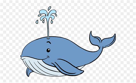 draw whale easy blue whale drawing clipart