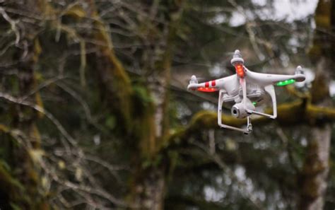latest buzz  flying drones  state  national parks rules