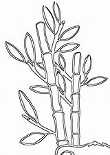Bamboo Coloring Pages Print sketch template