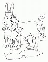 Donkey Esel Foal Donkeys Coloringhome Letzte sketch template