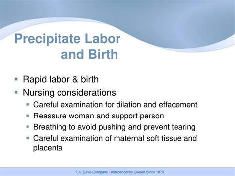 ppt chapter 12 processes and stages of labor and birth powerpoint