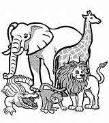 Animais Colorir Colouring Elephants Lineart Outline Giraffe Safari Pinclipart Kindpng Safári Brincar Vhv Views sketch template