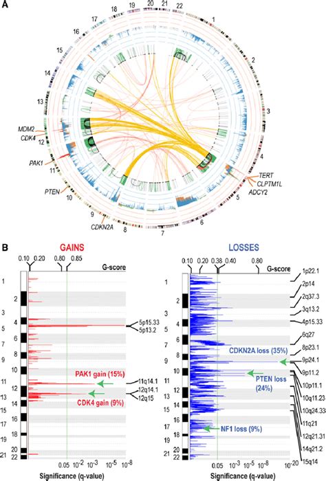 consensus somatic svs  cnvs  summary  somatic svs  cnvs