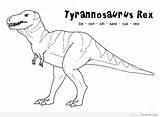 Rex Coloring Dinosaur Tyrannosaurus Pages Trex Kids Print Printable Sheets Dinosaurs Search A4 Jurassic Printables Google Facts Book Stencil Click sketch template
