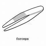 Forceps sketch template