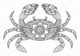 Zentangle Coloring Crab Drawn Hand Audult Tattoo Vector Book So Premium Stock Gmail sketch template