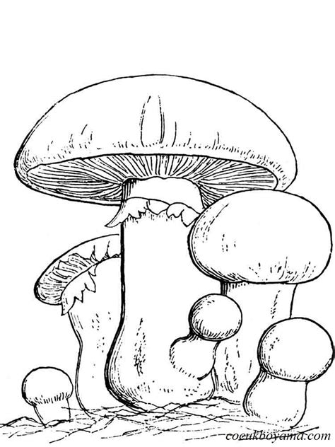 mushroom coloring pages  getcoloringscom  printable