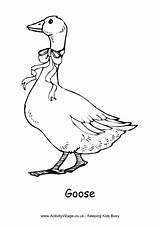 Goose Colouring Coloring Pages Geese Activity Kids Cute Village Easter Activityvillage Beatrix Explore sketch template