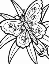 Butterfly Color Coloring Pages Print Butterflies Sheets Printable Flowers Flower sketch template