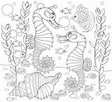 Seahorse Seahorses Della Subacquea Ippocampi Verbnow sketch template