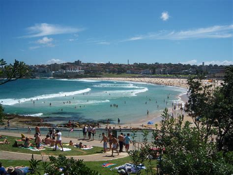 sasha grey surfs sasha steps in gum surf s up at bondi beach