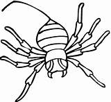 Spider Coloring Pages Printable Widow Kids Clipart Categories sketch template