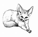 Fox Coloring Desert Pages Draw Baby Arctic Drawing Cute Clipart Animal Fennec Clip Netart Library Getdrawings Cliparts sketch template