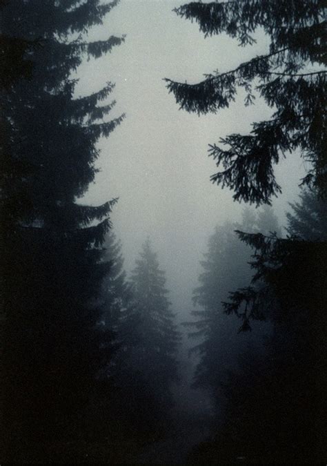 alternative background boho dark foggy forest grunge