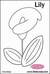 Boll Cotton Coloring Template sketch template