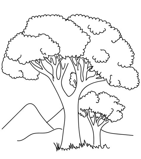 tree coloring page     coloring home