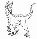 Jurassic Coloring Velociraptor Dinosaur Dinosaurios Raptor Indoraptor Dinossauro Dinosaurio Mosasaurus Colorare Disegni Coloringhome Dinosauri Colorin sketch template