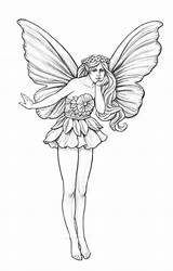 Garden Fairy Drawings Coroflot Coloring Fairies Mikesell Pages Nicholas Pencil Drawing Sketch Designs Line Choose Board Size sketch template