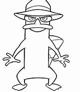 Coloring Secret Pages Platypus Agent Perry Draw Sketch Template Library Clipart sketch template