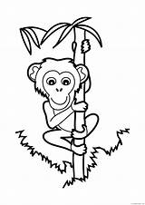 Coloring Pages Monkey Climbing Printable Chimpanzee Tree Bamboo Animals Animal Coloring4free 2021 Sheets Climb 1072 Color Rock Cartoon Panda Getcolorings sketch template