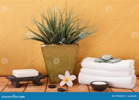 tranquil spa stock image image  beauty leisure hygiene
