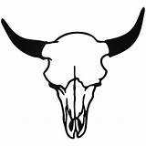 Skull Steer Drawing Cattle Cow Longhorn West Beef Silhouette Getdrawings Clipartmag Paintingvalley Artwork Longhorns Collection sketch template